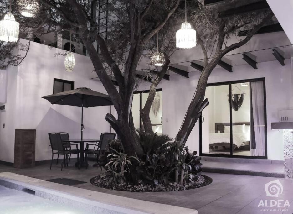 San Martín de las Pirámides Villa Huizache Alberca Privada+Exclusividad+Lujo מראה חיצוני תמונה