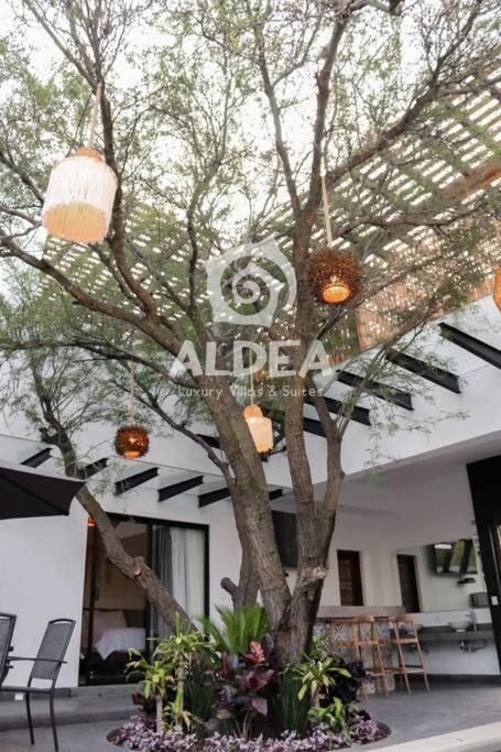 San Martín de las Pirámides Villa Huizache Alberca Privada+Exclusividad+Lujo מראה חיצוני תמונה